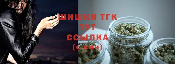 Альфа ПВП Богородицк