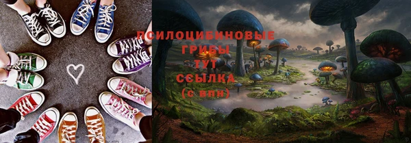 прущая мука Богородск