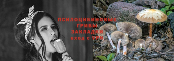 Альфа ПВП Богородицк