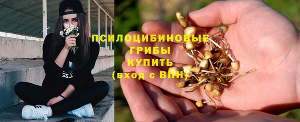 мет Богданович