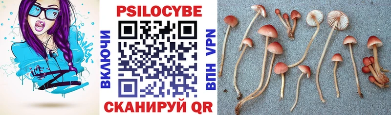 Псилоцибиновые грибы Magic Shrooms где можно купить наркотик Называевск